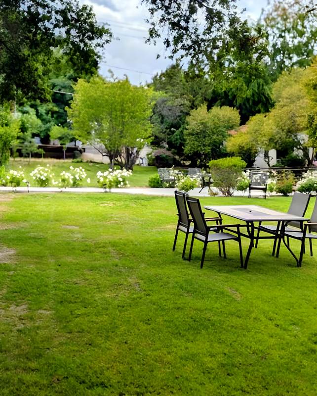 The lawn and patio seating